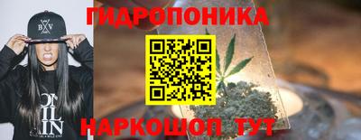 винт Гусь-Хрустальный