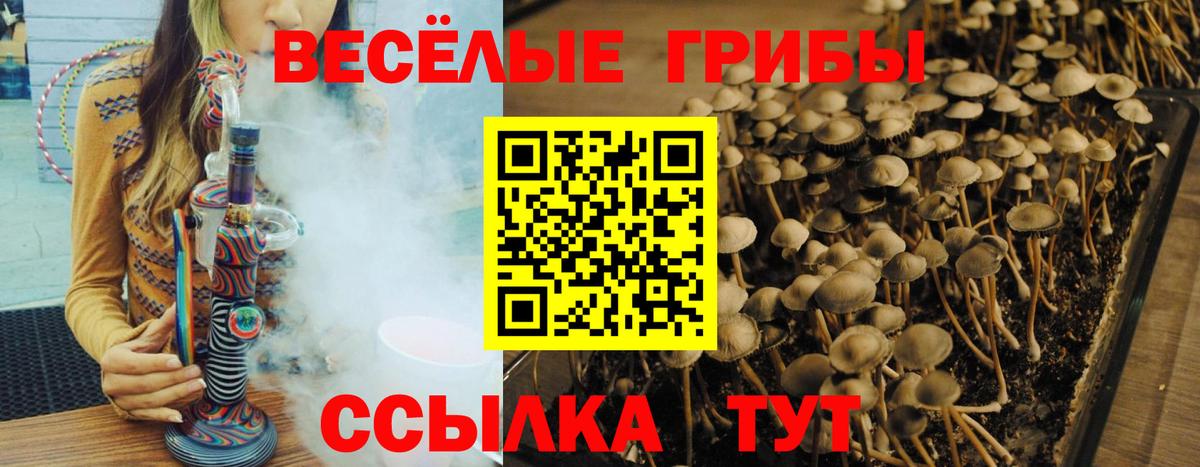 Ликино-Дулёво  купить наркотики сайты  Вход с VPN  Псилоцибиновые грибы Magic Shrooms 